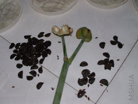 ������һ������90�������أ�