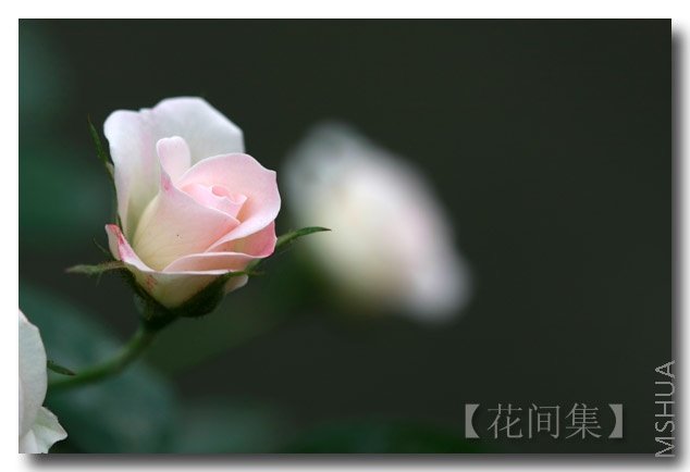 IMG_3193 ����.jpg