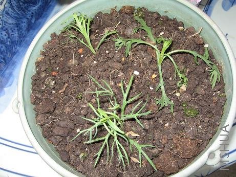 ͬ���ں��ü����İ���ͷ��꣬�����ģ���һ�÷���ܾ��������ǻ��ˣ���Ը������Ҳ������