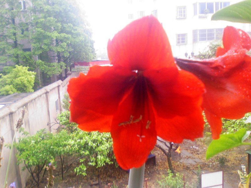 ��Ƭ-036.jpg