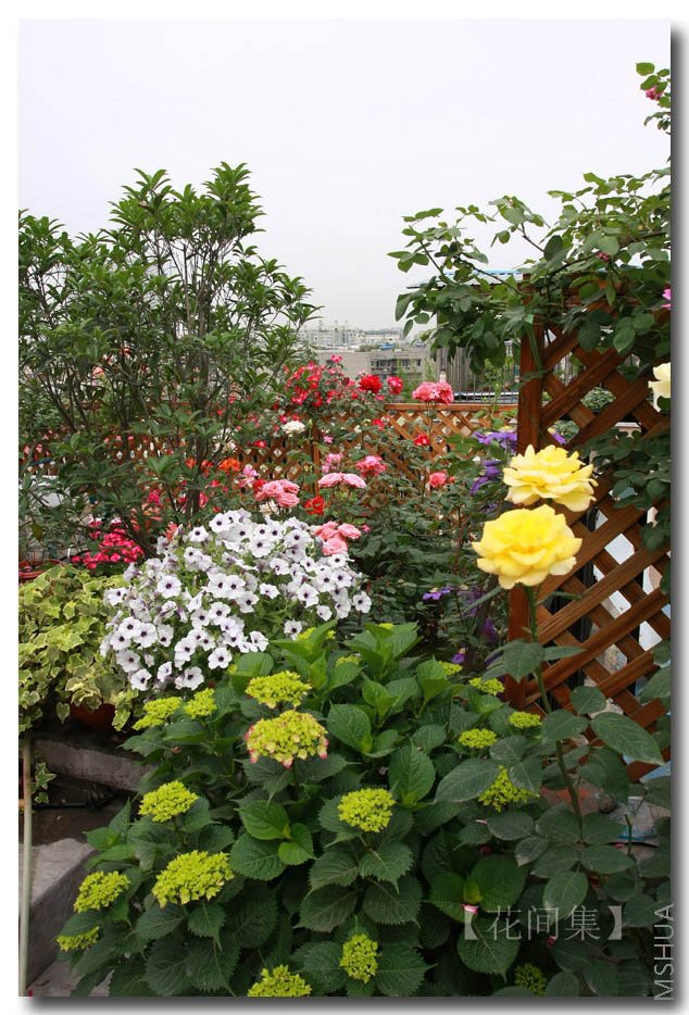 IMG_3173 ����.jpg