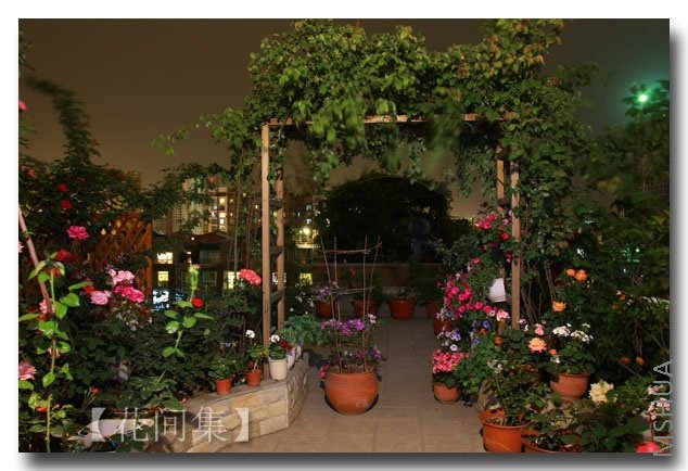 IMG_3164 ����.jpg