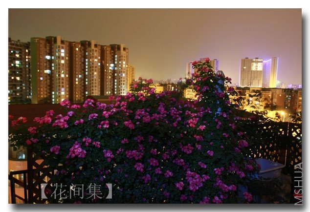 IMG_3150 ����.jpg