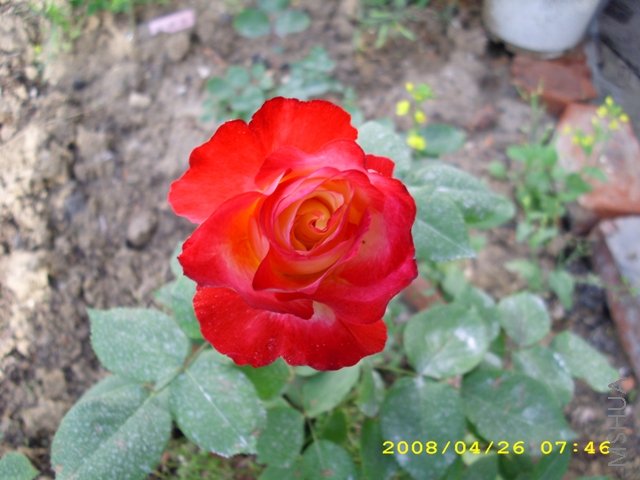 ��˫ϲ 076.jpg
