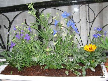 �벻����Ҳ��һ��һ