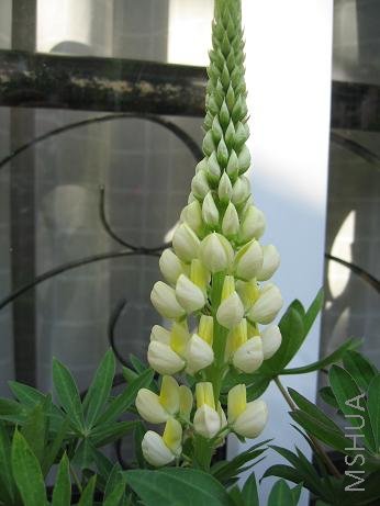 ��ɫ�ͻ�ɫ����Ҳ�ÿ�