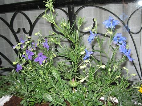 ������һ������ݣ���һ�����¾գ�������һ��������