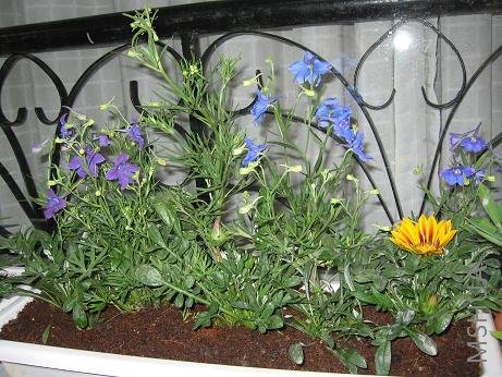 ���˺þõķ���ݣ�����ʵ���Щʧ��