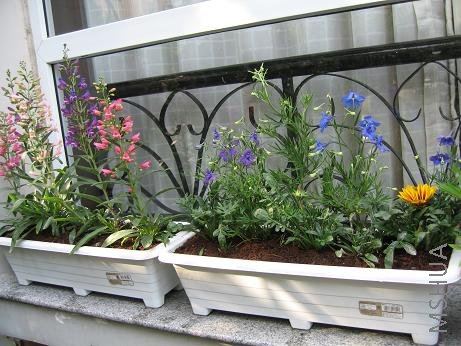 ������ʮԪ��������������裬����һ�꣬�Ѿ��е㿪�ѣ������޺û�