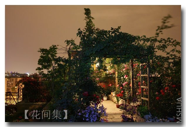 IMG_3151 ����.jpg