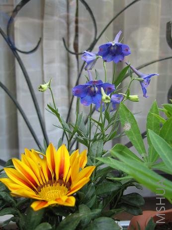 ����һ�����ִ���