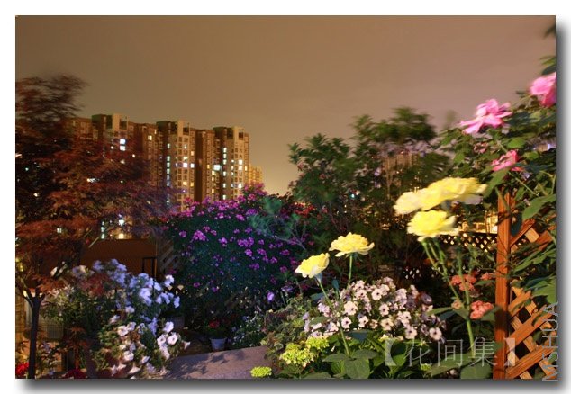 IMG_3160 ����.jpg