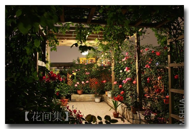 IMG_3154 ����.jpg