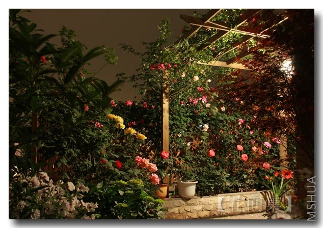 IMG_3168 ����.jpg