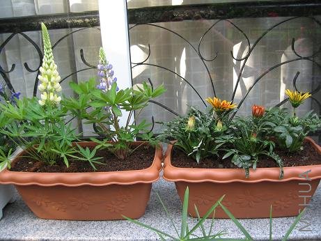 �ڰ�������������������裬���Ļ�