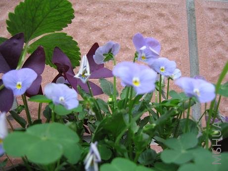 ���ø��Ľ����У�������ɫ����ˬ