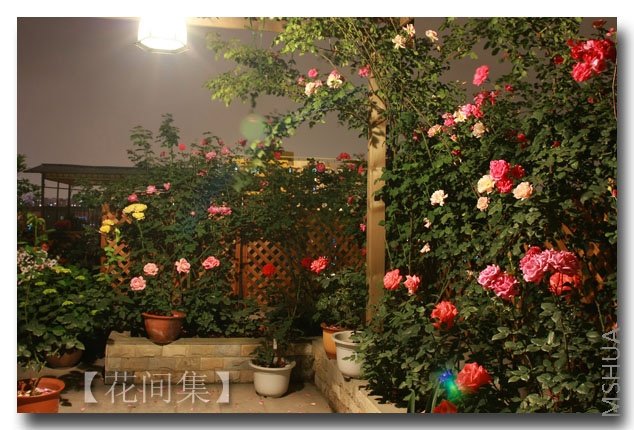 IMG_3156 ����.jpg