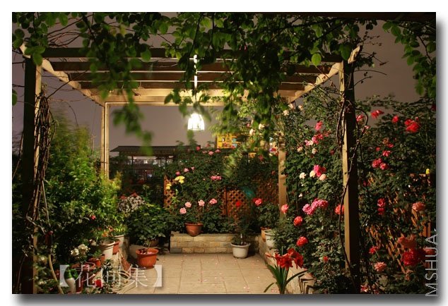 IMG_3155 ����.jpg