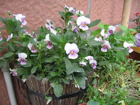 ��Ҳ�Ǻ��ø��Ľ���