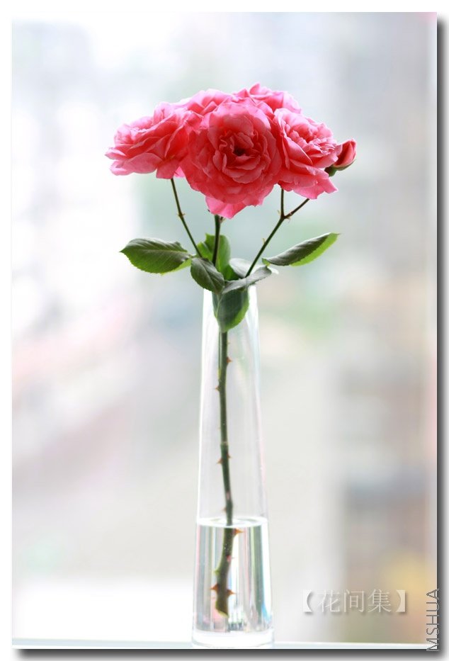 IMG_3087 ����.jpg