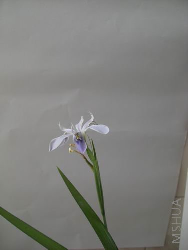 ������С ��ת CIMG0363.JPG