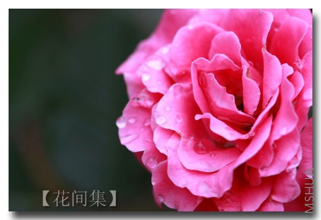 IMG_3177 ����.jpg