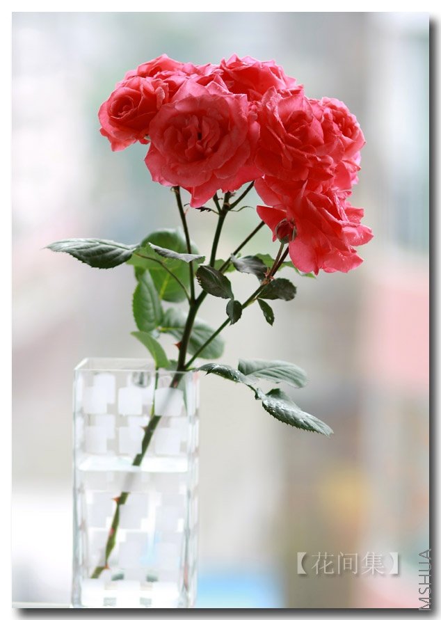 IMG_3090 ����.jpg