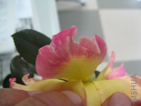 ���Ի��� 028.jpg