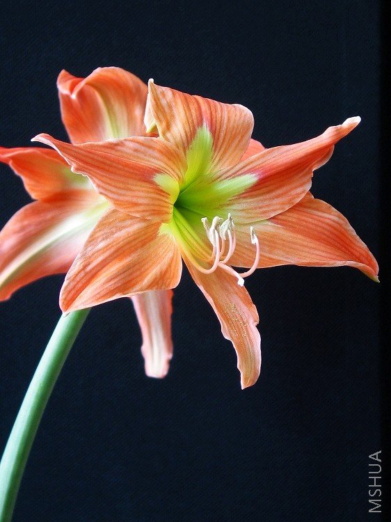 ���졪����