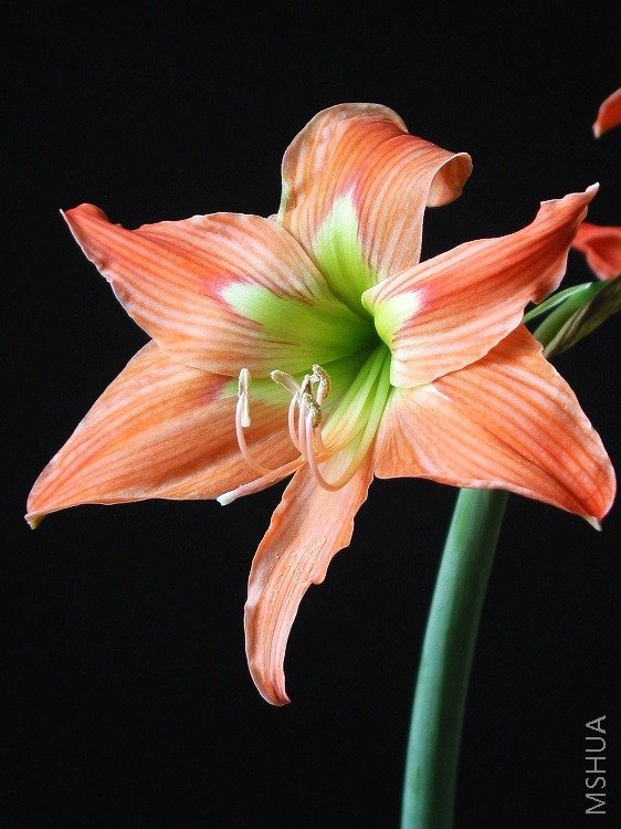 ���졪����