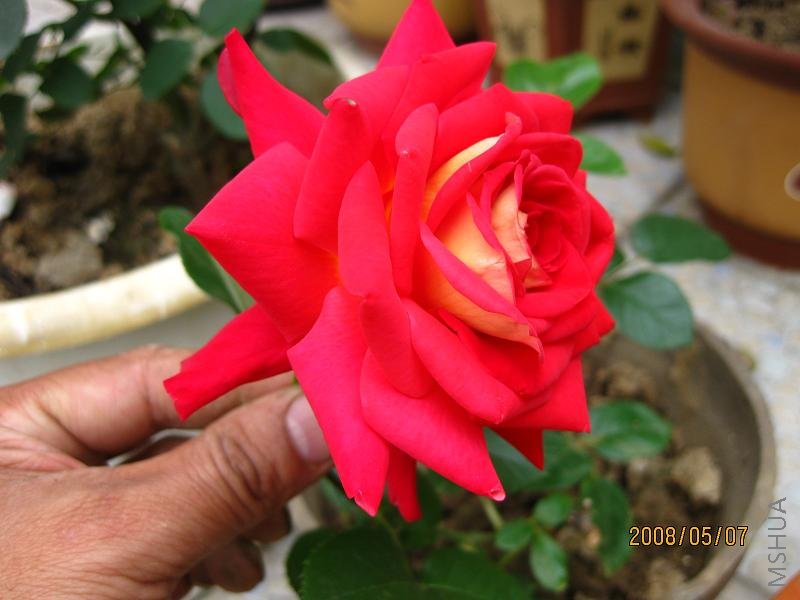 �����Ѿ���ȫ����