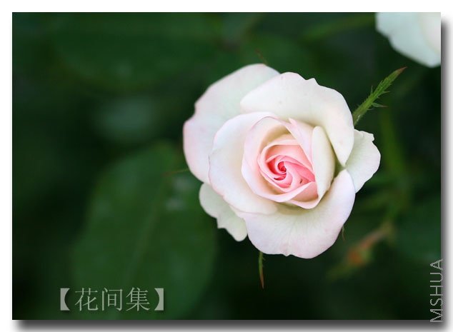 IMG_1802 ����.jpg