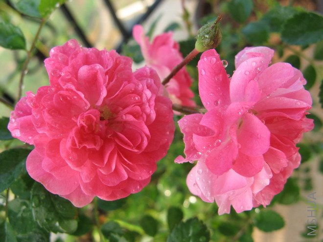 Ǿޱ���� 005.jpg