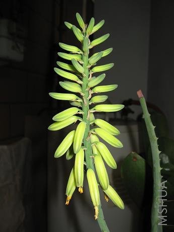 ���� IMG_0013.JPG