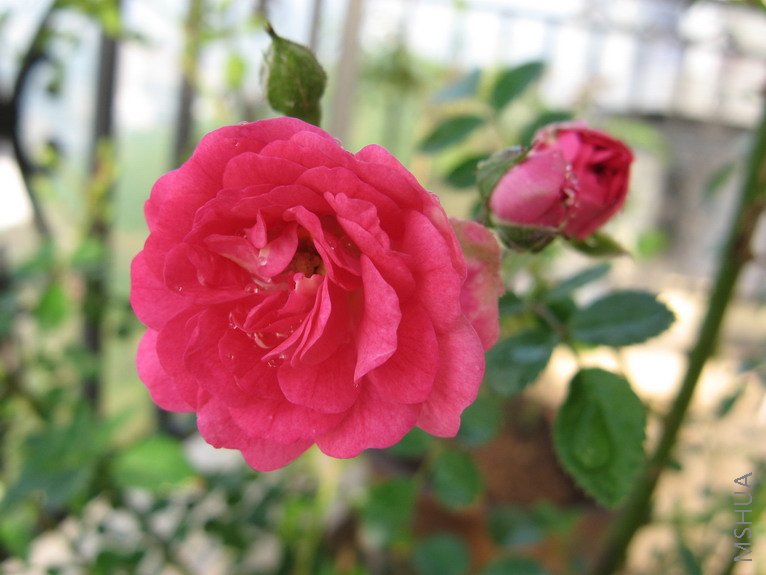 Ǿޱ���� 008.jpg