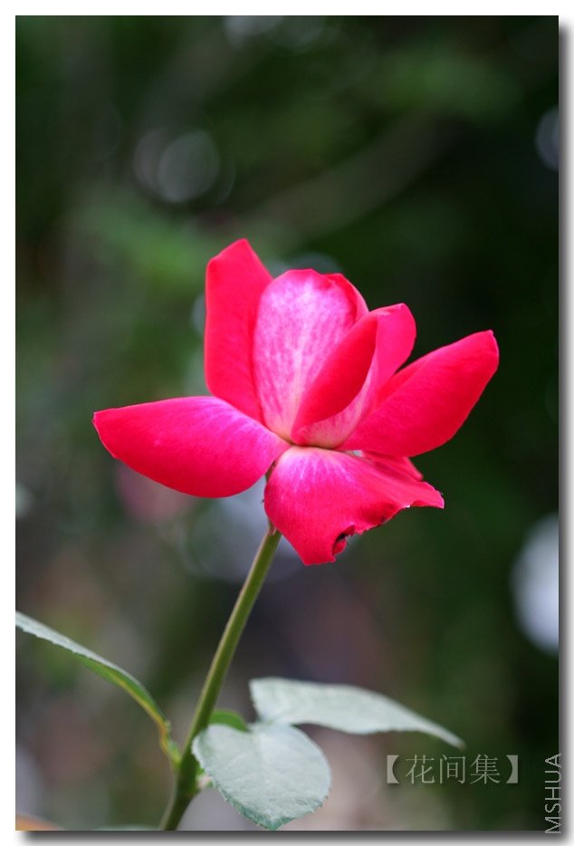 ����õ��