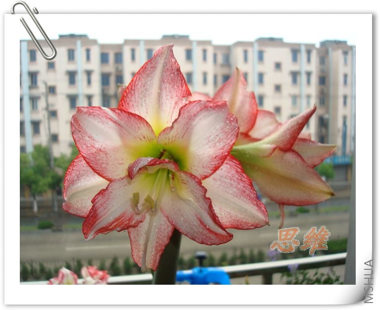 DSC01720_nEO_IMG.jpg