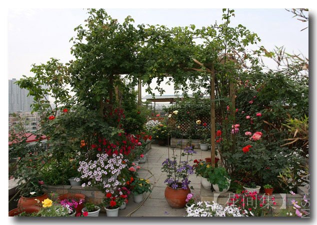 IMG_3664 ����.jpg