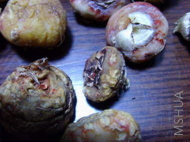 ���� SSL26035.jpg