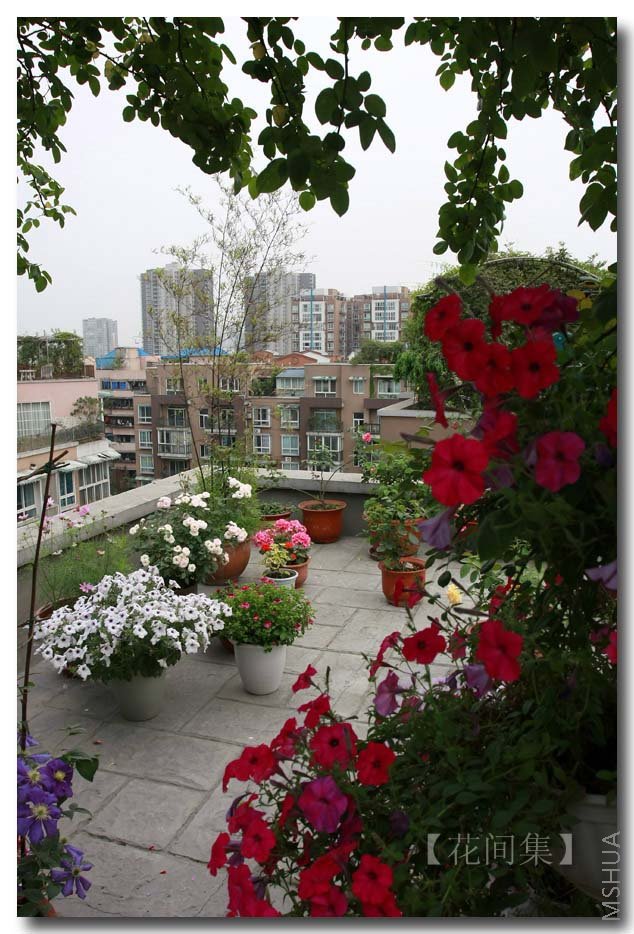 IMG_3661 ����.jpg