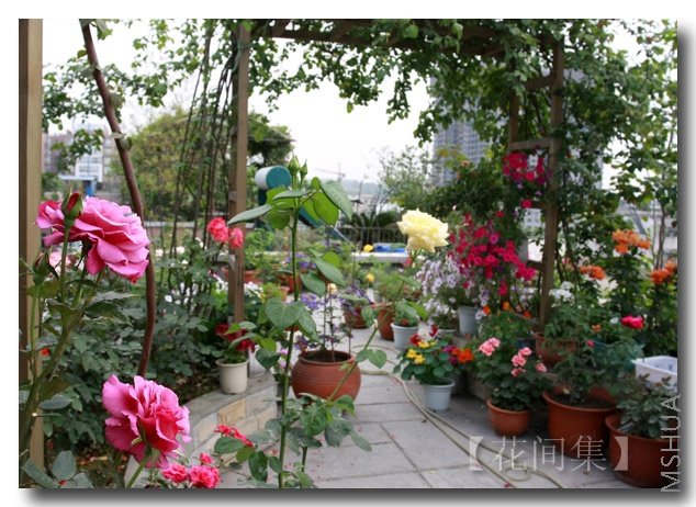 IMG_3667 ����.jpg