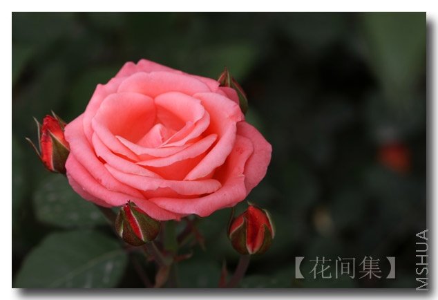 IMG_2364 ����.jpg