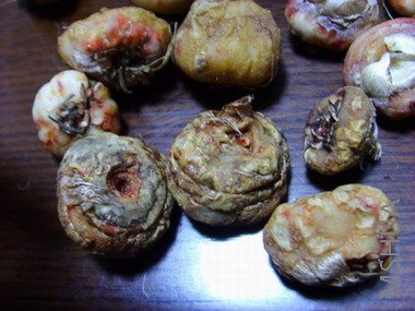 ���� SSL26034.jpg