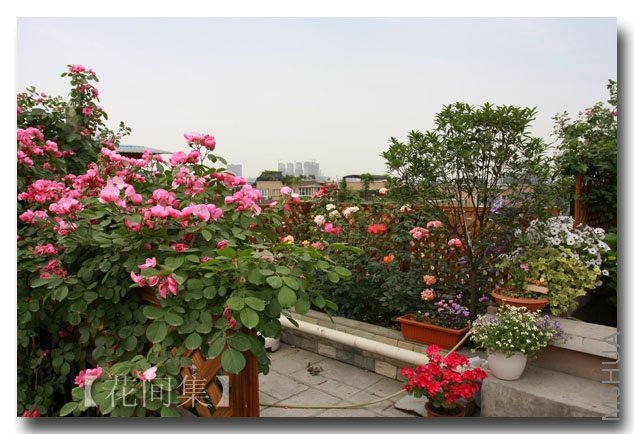 IMG_3658 ����.jpg