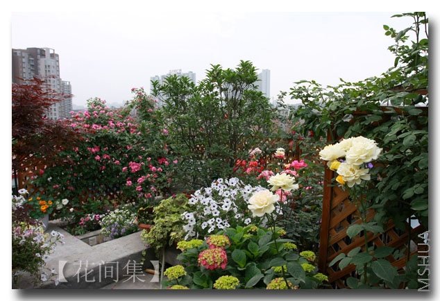 IMG_3660 ����.jpg