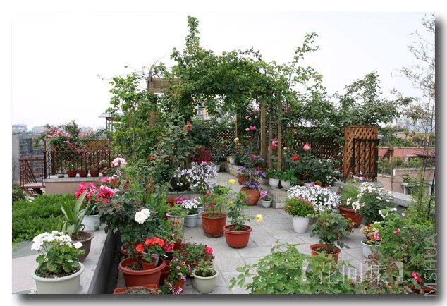 IMG_3663 ����.jpg