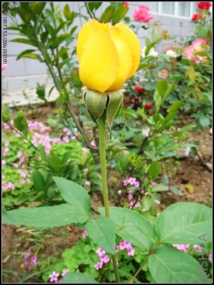 DSC02519_nEO_IMG.jpg