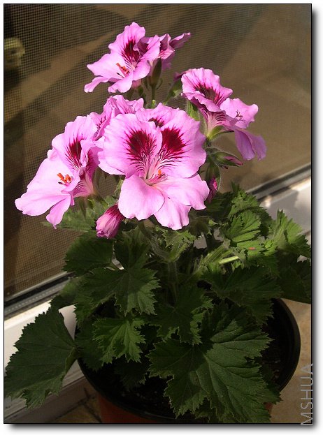 ������������������٣�