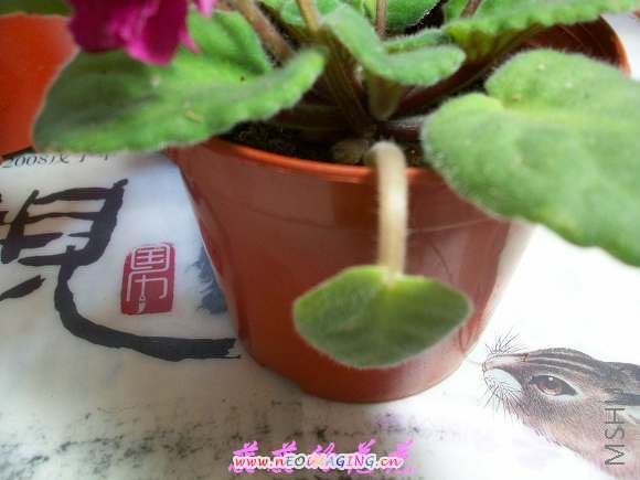 100_0254.jpg