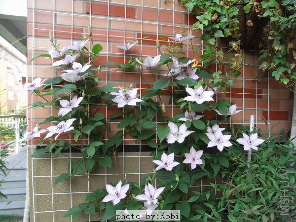 ����ǽ������ģ